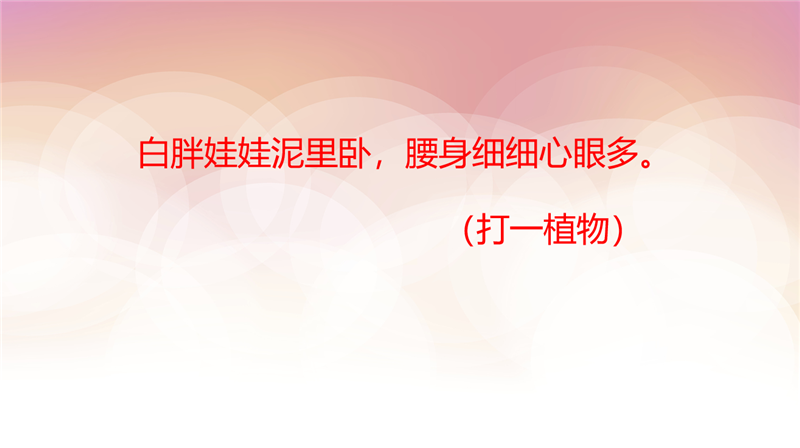 2022级6月份新生夏令营系列活动预告大合集来啦，邀你一起来参加！